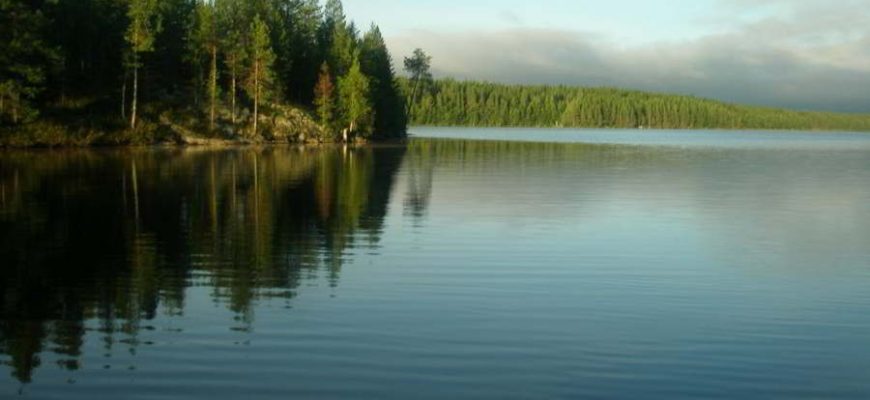 Карлия на машине